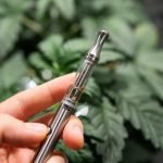 3 Things To Check When Buying Your First Weed Vape Pen