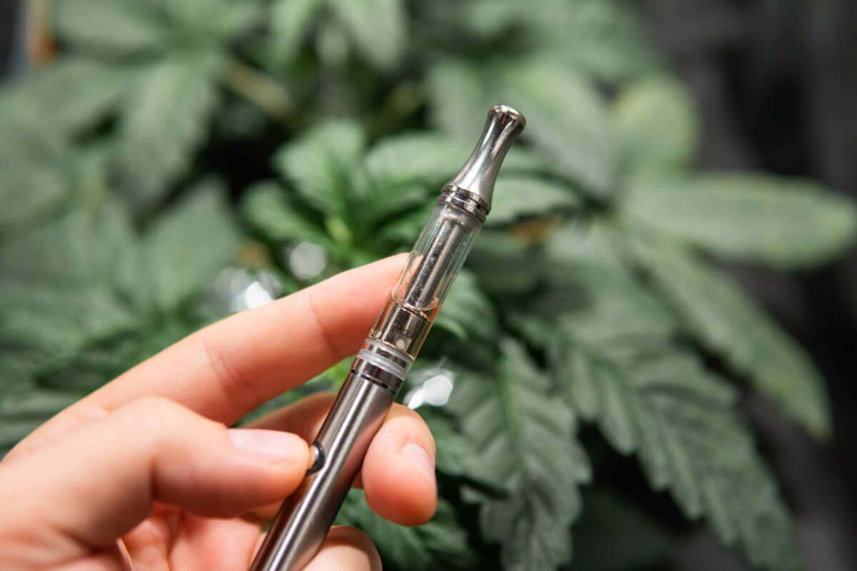 holding a weed vape pen